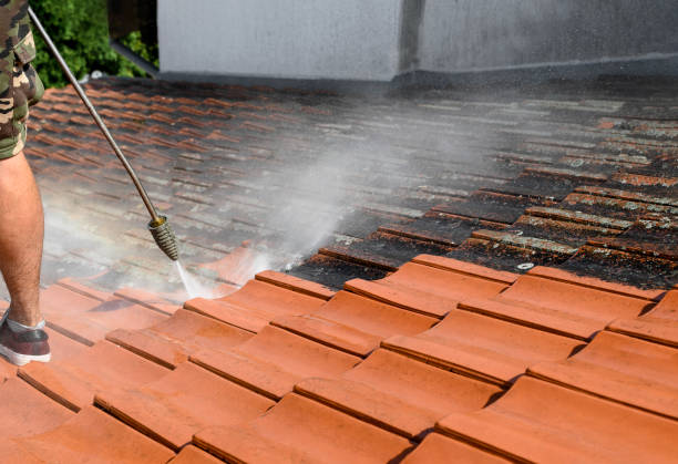 Best Residential Pressure Washing Services  in London, CA