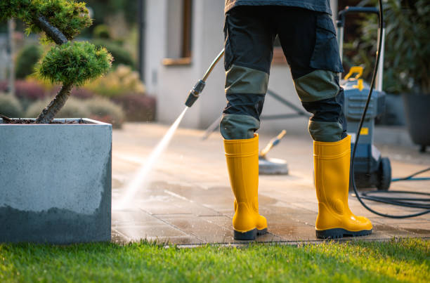 Best Power Washing Near Me  in London, CA
